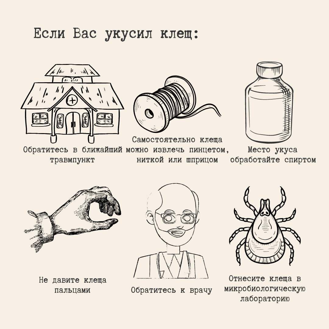 укусил клещ